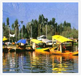 Golden-Kashmir