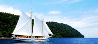 Island-Trip
