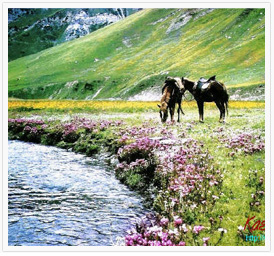 Kashmir-Splendors