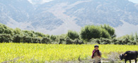 Suru-Valley
