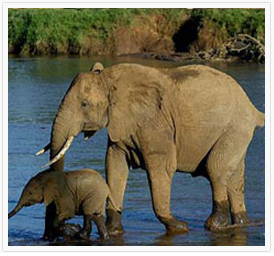kenya-tour