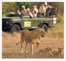 kenya-tour