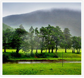 kerala 
